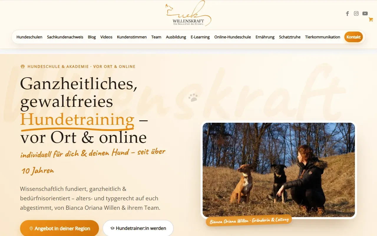 The Willenskraft home page, in German.